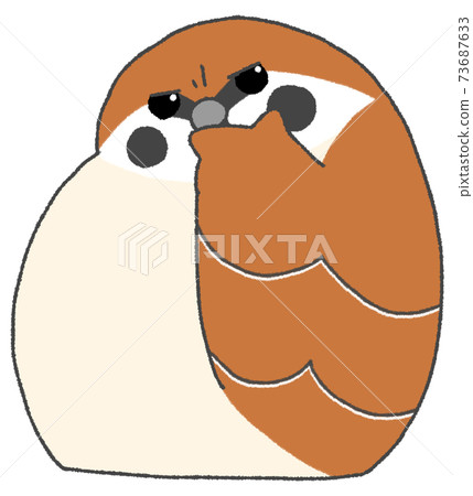 A cute sparrow that feels suspicious and wrinkles between the eyebrows 73687633