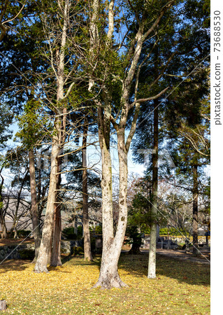 兵庫縣筱山城遺址 兵庫縣筱山城遺址 73688530