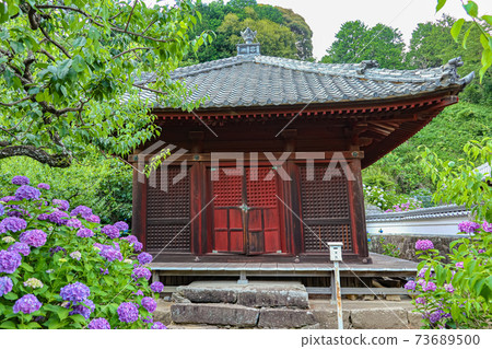 Hydrangea Temple in Mikawa, Honkoji Temple <Nukata-gun, Aichi Prefecture> Hydrangea Temple in Mikawa, Honkoji Temple <Nukata-gun, Aichi Prefecture> 73689500