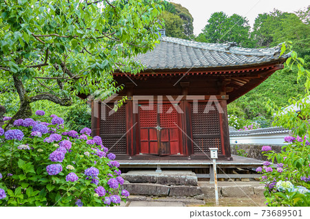 Hydrangea Temple in Mikawa, Honkoji Temple <Nukata-gun, Aichi Prefecture> 73689501
