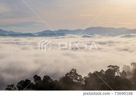 Khao Khai Nui, Sea of fog in the winter mornings at sunrise, New landmark to see beautiful scenery at Thailand. Khao Khai Nui, Sea of fog in the winter mornings at sunrise, New landmark to see beautiful scenery at Thailand. 73690186