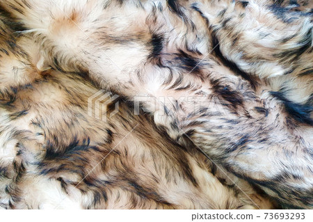 Brown and black wool texture background. Top view of natural fur.Texture of brown and black Fur coat, close up. Brown and black wool texture background. Top view of natural fur.Texture of brown and black Fur coat, close up. 73693293