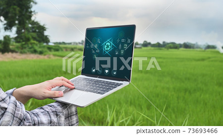 Close-up image of young modern farmer controlling the automatic water supply system by using laptop for cultivated rice in field. Agricultural technology concept. 73693466