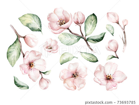Watercolor boho blossom flower set. Spring or summer decoration floral bohemian design. Watercolour isolated. foliage illustration with cherry, green leaf, feather. Botanical aquarelle 73693785