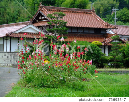東廣島西條盆地的田園風光，紅磚砌成的民房風光 73693847
