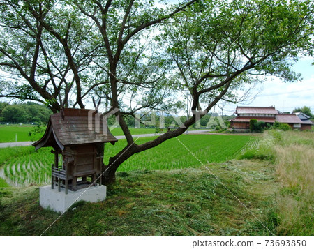 Rural scenery of Higashihiroshima Saijo Basin, scenery with private houses with red tiles Rural scenery of Higashihiroshima Saijo Basin, scenery with private houses with red tiles 73693850