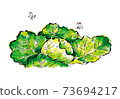 圖片字母白菜的插圖 73694217