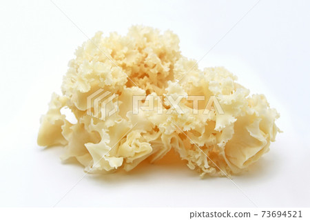 香菇 香菇 73694521
