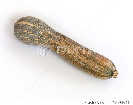 Crane-necked pumpkin (crane-necked pumpkin, vine pumpkin) 73694646