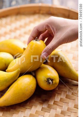 Eggfruit or canistel on bamboo tray holding by hand 73695580