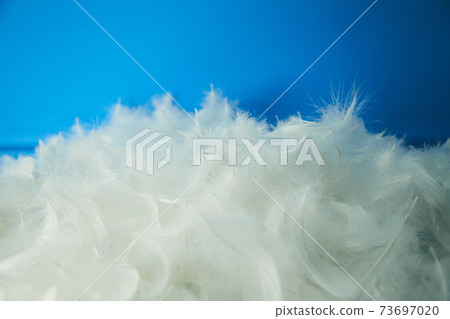 Blue background and feathers 73697020