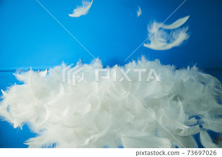 Blue background and feathers 73697026