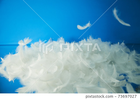 Blue background and feathers 73697027