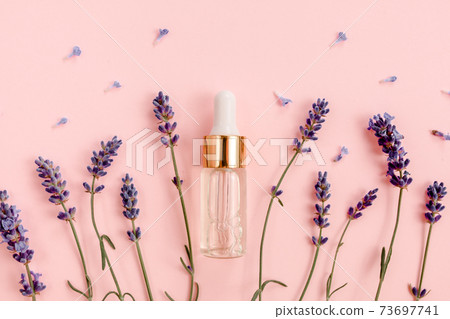 Lavender essential oil with flowers on pink background. Flat lay, top view. Minimal concept. Lavender essential oil with flowers on pink background. Flat lay, top view. Minimal concept. 73697741