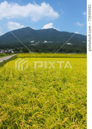 秋天的田野和筑波山 秋天的田野和筑波山 73698091