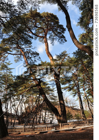 Cheongpung-myeon, Cheongpung Cultural Complex, Cheongnyeongpo, Sol Forest 73698568