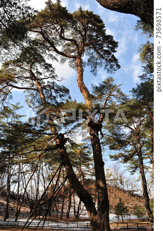 清風面,清風文化園區,清寧浦,索爾森林 清風面,清風文化園區,清寧浦,索爾森林 73698571