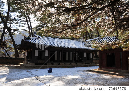 清風面,清風文化園區,清寧浦,索爾森林 清風面,清風文化園區,清寧浦,索爾森林 73698578