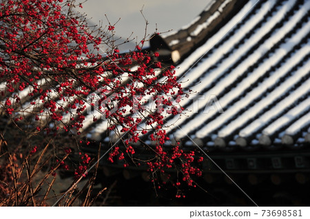 清風面，清風文化園區，清寧浦，索爾森林 73698581