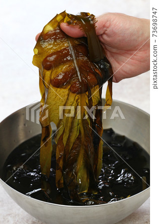 Freshly picked wakame seaweed 73698747