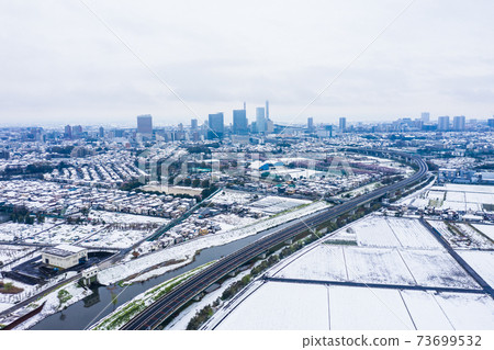 鳥瞰“ Sa玉縣” Minuma稻田雪景 73699532