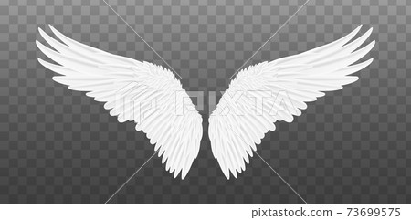 Realistic wings. Vector Realistic wings. Vector 73699575