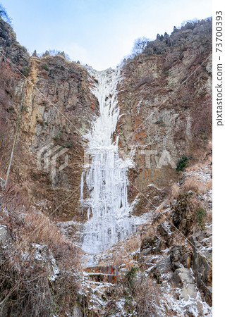 Koga Falls (Medaki) in winter Icefall Aso City, Kumamoto Prefecture Koga Falls (Medaki) in winter Icefall Aso City, Kumamoto Prefecture 73700393