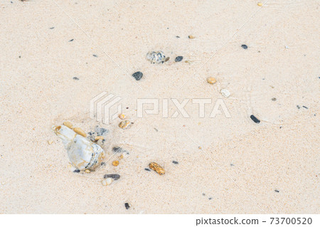 White sand beach in khang khao island, Ranong, Thailand in cloudy day. 73700520