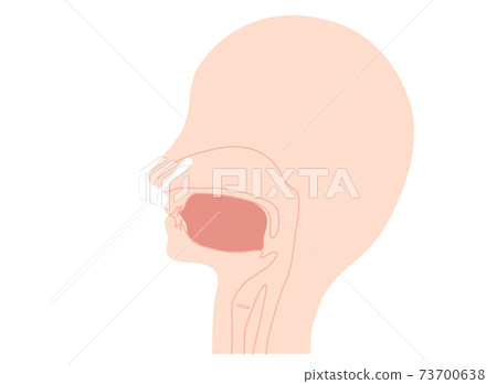 鼻拭子溶液樣品收集圖 鼻拭子溶液樣品收集圖 73700638