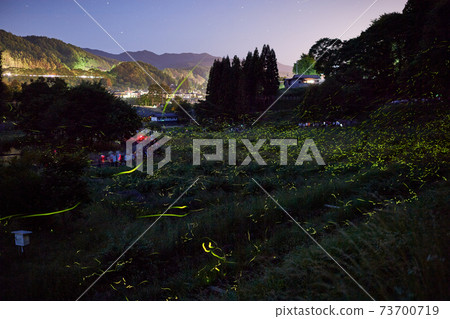 螢火蟲燈辰野町的螢火蟲綠燈 73700719