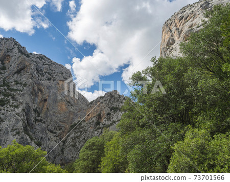 hiking trail to Gola Su Gorropu gorge and green forest landscape of Supramonte Mountains with limestone rock and mediterranean vegetation, Nuoro, Sardinia, Italy. Summer cloudy day 73701566