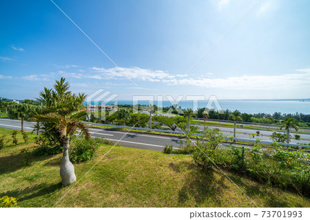 Scenery seen from the observation deck of "Okinawa Prefecture" Igei SA 73701993
