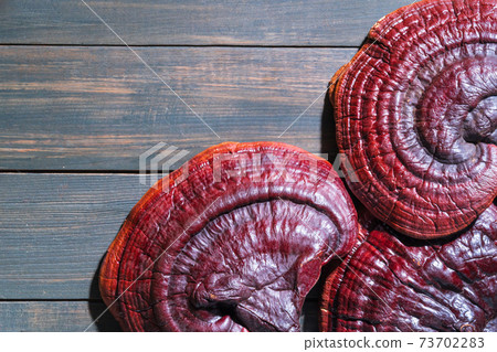 Close up of Ling zhi mushroom on wood table Close up of Ling zhi mushroom on wood table 73702283