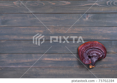 Close up of Ling zhi mushroom on wood table Close up of Ling zhi mushroom on wood table 73702284