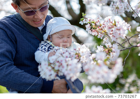 花見嬰兒和爺爺 花見嬰兒和爺爺 73703267