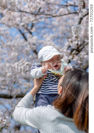 觀賞全家福櫻花 觀賞全家福櫻花 73703269