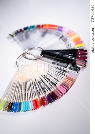 manicure artist making nail polish procedure with color laquer palette manicure artist making nail polish procedure with color laquer palette 73703486