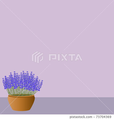 風景與鮮花,薰衣草,背景 風景與鮮花,薰衣草,背景 73704369
