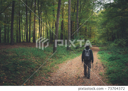 A man with a backpack walking through the forest A man with a backpack walking through the forest 73704372