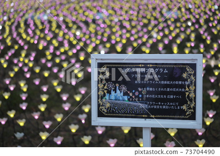 Ashikaga Flower Park 73704490