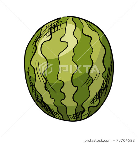 Watercolor eco frut. Line painted watermelon. Colored line sketch of watermelon on a white background. Hand drawn fresh food design element in vector Watercolor eco frut. Line painted watermelon. Colored line sketch of watermelon on a white background. Hand drawn fresh food design element in vector 73704588