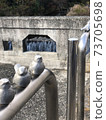 Birds also take a rest 73705698