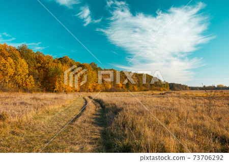 Path through the meadow, autumn forest and white cloud on the sky 73706292