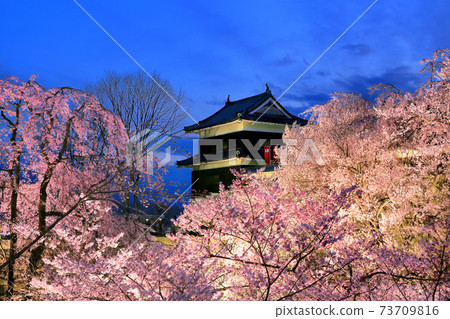 在Ueda城堡的櫻花在晚上 73709816