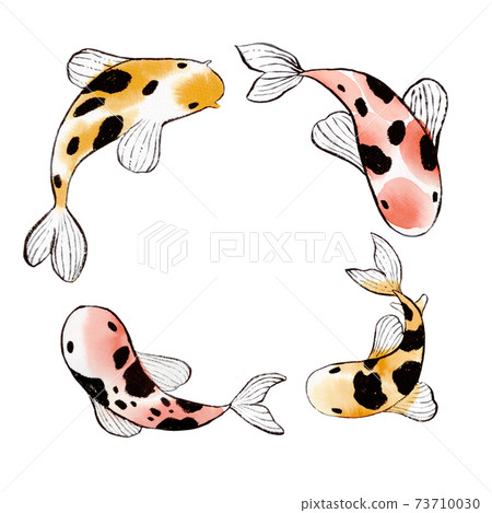 Watercolor frame sketch Koi - japanese amur carp. Isolated on white background 73710030