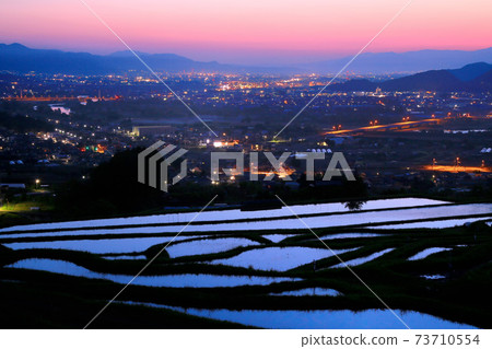 Tanada rice fields of spring 73710554