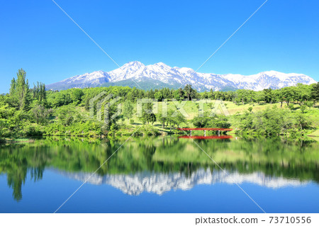 松樹池塘和妙高山的新鮮綠色積雪 73710556