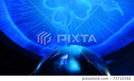 水母網絡對象 水母網絡對象 73710588