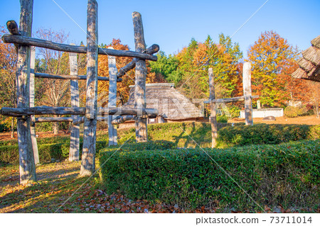 Yaze Water Park Yaze Site Early Morning Scenery Autumn Scenery Yaze Water Park Yaze Site Early Morning Scenery Autumn Scenery 73711014