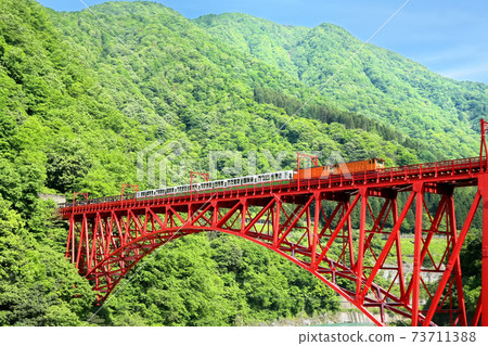 Truck train at Kurobe Gorge Railway 73711388